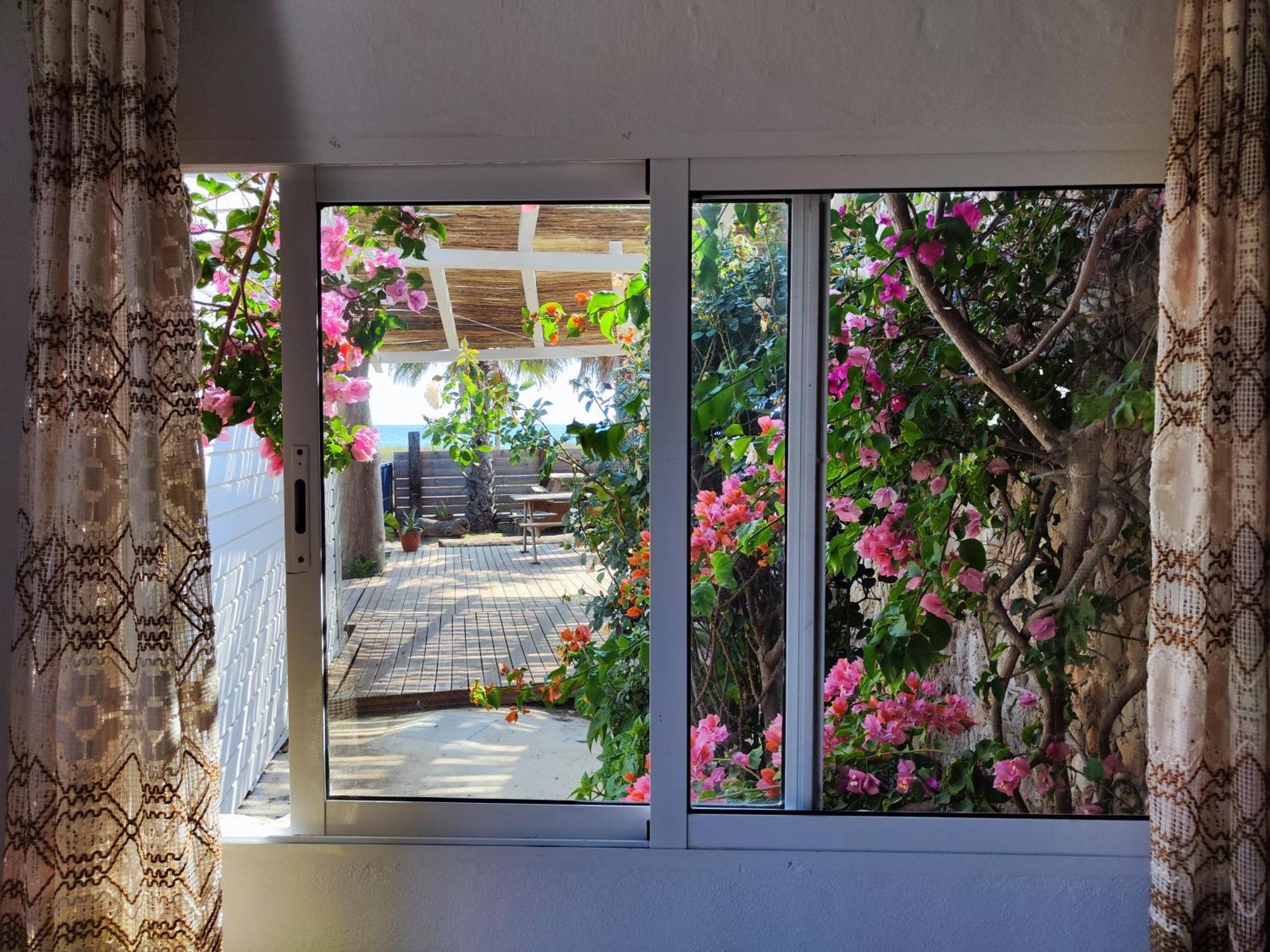La Casa De Piedra A Orillas Del Mar Vejer de la Frontera Exterior photo